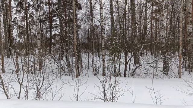 Как медитировать, чтобы Пробуждение произошло - техника №4 смотреть онлайн