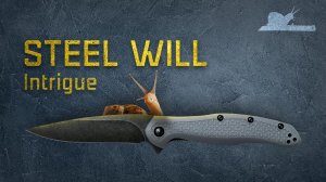 Интригует ли? - Steel Will Intrigue f45m