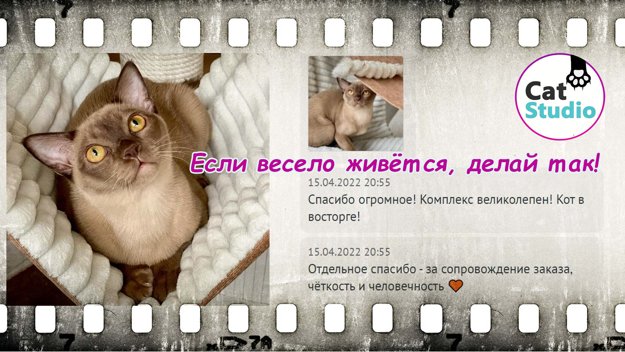 Кто самый лучший  друг Кота? Лиса, конечно!