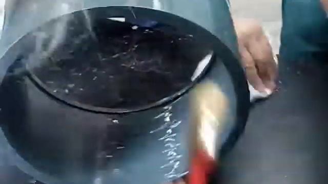 склеивание ПВХ Pimtas смотреть онлайн