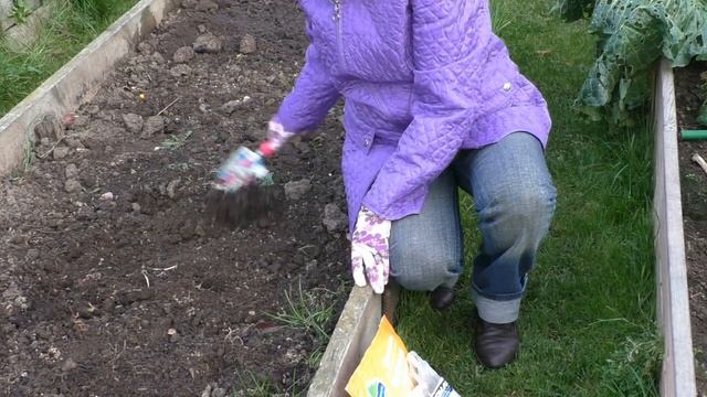 НЕ ЗАБУДЬТЕ СДЕЛАТЬ ЭТО С ГРЯДКАМИ И ТЕПЛИЦЕЙ ПЕРЕД НОВЫМ СЕЗОНОМ!!! смотреть онлайн