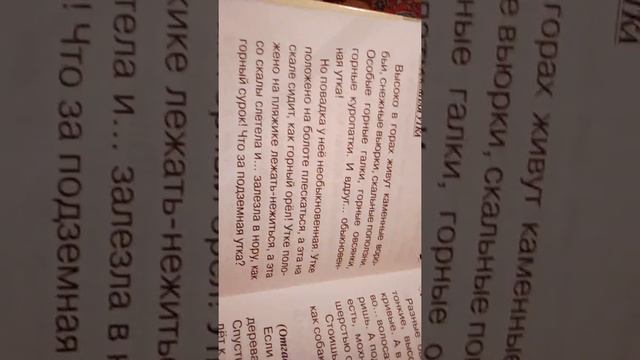 Сказки про животных смотреть онлайн