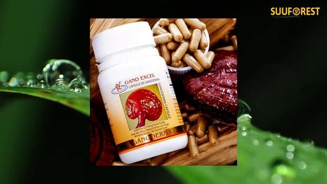 Ganoderma 1 Bottle – 90 Capsules Ganoderma Capsules By Gano Excel (60g)