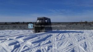 Медведь