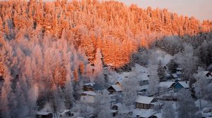 Ушинский К.  "Наше Отечество" Читает Дружинина Е.А., г. Кремёнки