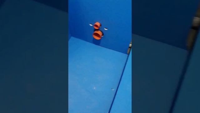 Синий синий кнауф лёг на туалет? Ремонт саузла отделка ремонт гидроизоляция  екатеринбург