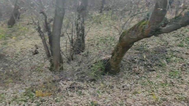 ремонт колодцев