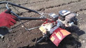 Мотоблок Угра  в пахоте