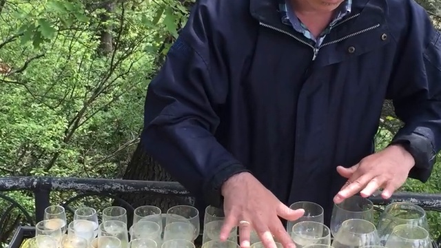 Поющие бокалы смотреть онлайн