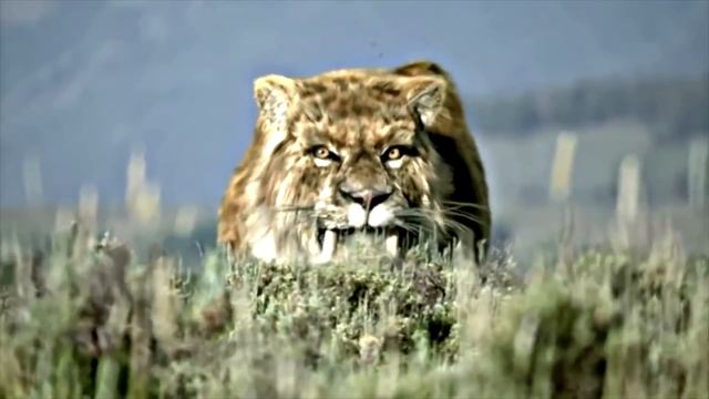 ТОП5 ЕҢ ҚАУІПТІ ЖЫРТҚЫШТАР | ASKERBEK SHOW смотреть онлайн