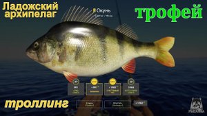 Русская рыбалка 4 / Ладожский архипелаг / Окунь (трофей) , троллинг по маршруту продолжается