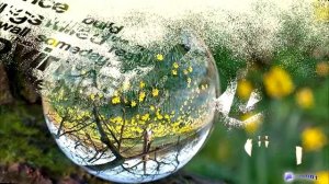 GERRY RAFFERTY - Right Down The Line.