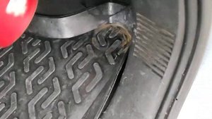 форд фьюжен