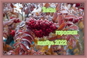 Весы! Гороскоп на ноябрь 2022 года!