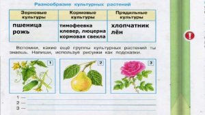 Окружающий мир. Рабочая тетрадь 3 класс 2 часть. ГДЗ стр. 32 №4