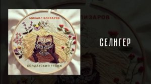 45 Михаил Елизаров — Селигер