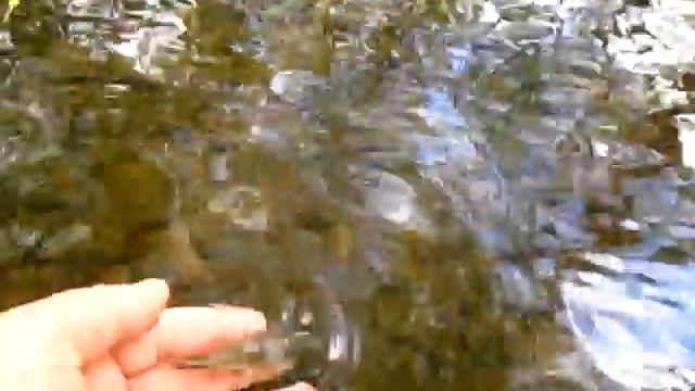 Гольян речной 3 смотреть онлайн