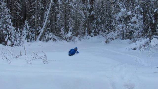 По тропинке в зимний лес смотреть онлайн