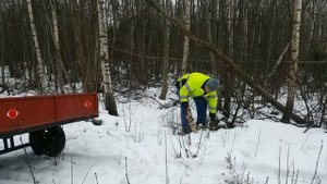 Испытания мотоблока МТЗ09Н с цепями.И все таки он едет.