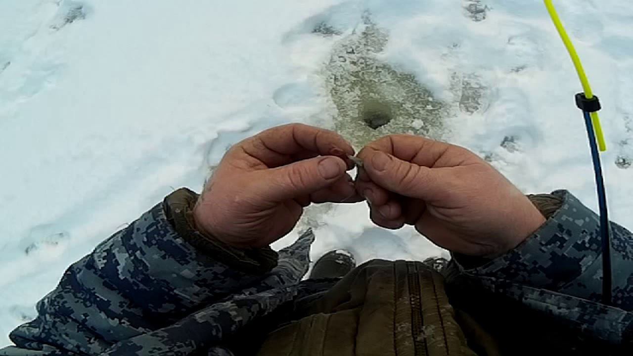 В тайгу на 4 дня Рыбалка на лесной речке смотреть онлайн