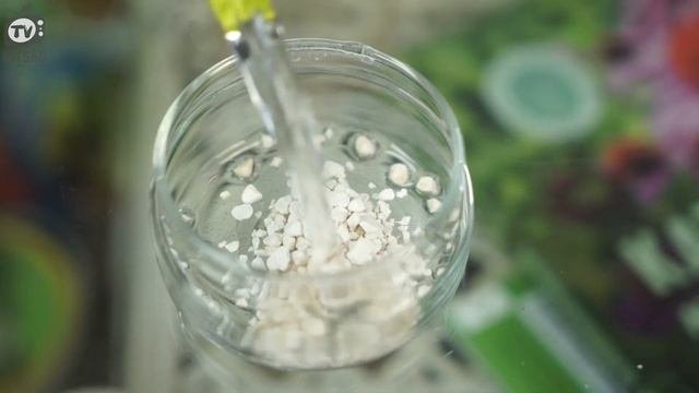 Правда о минеральных удобрениях ? Зачем нужны минеральные удобрения ‼️ Советы от Хитсад ТВ