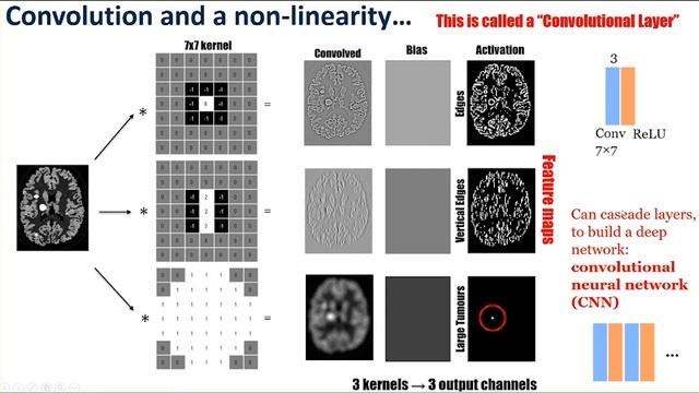 Physics-Informed AI for Image Reconstruction in Positron Emission Tomography смотреть онлайн