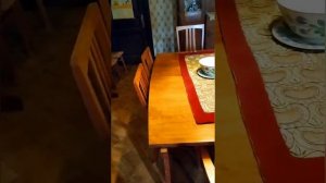 В гостях у композитора А.Н. Скрябина