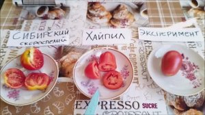 помидоры в разрезе.mp4