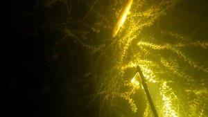 р. Нева подводная съёмка, много мелкой рыбы, затопленный корабль.