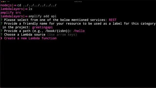 Sharing dependencies across multiple Serverless functions with AWS Amplify and Lambda layers смотреть онлайн
