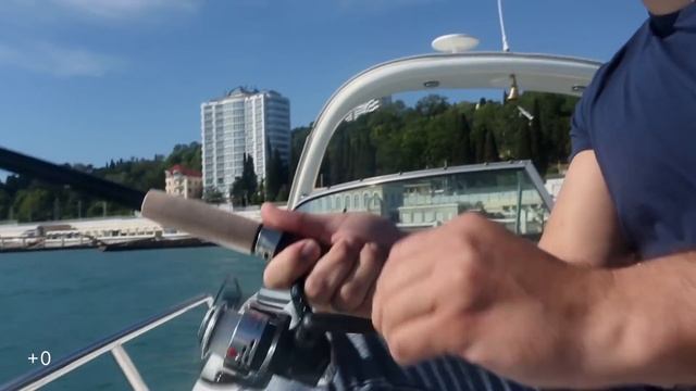 Аренда яхт. Морские прогулки в Сочи #сочиэкскурсии #арендаяхтысочи #сочи