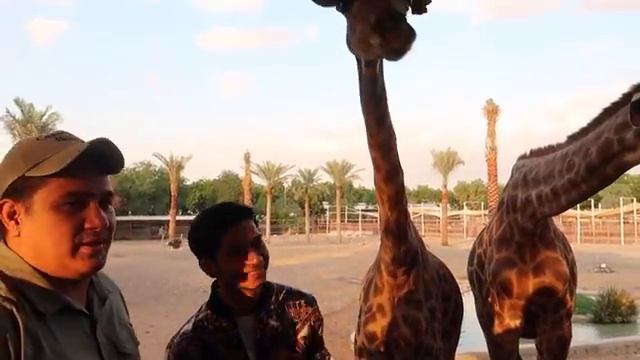 Visit to Fame Park 🦒 | Dubai Day 5 смотреть онлайн