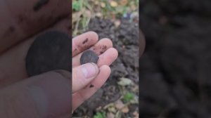 Нашёл СУНДУК 18 века? Коп с Minelab Equinox 600