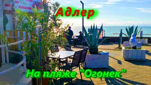 Адлер/ На пляже Огонек