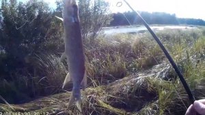 Ближайшее подмосковье ловля на воблера