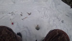 РЫБАЛКА В СИБИРИ. НА ЧЕБАКА И ЩУКУ. р НИЗЯМКА . ХМАО