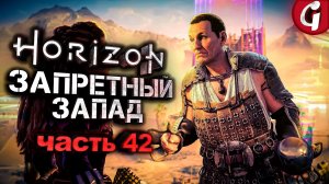 НОЧЬ ОГНЕЙ ➤ Horizon Forbidden West ➤ Прохождение №42 ➤ PS5