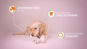 Лакомство Косточки 8in1 Delights