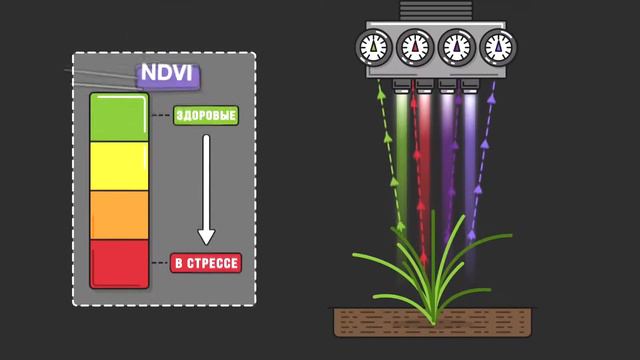 Monsanto Roundup Animation NDVI By #KTMVISION смотреть онлайн