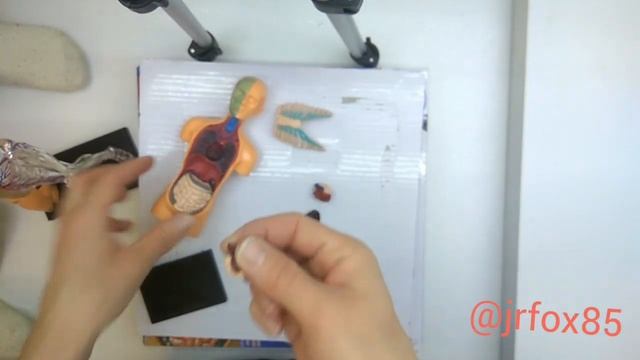 Обзор модели 