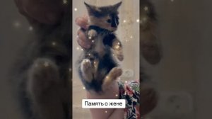 Мое прекрасное чудо