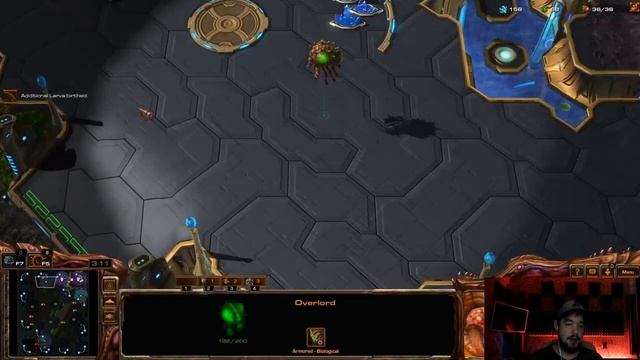 Секретная тактика |как играть за зергов в starcraft 2
