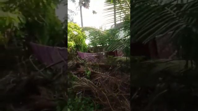 Праздник Дивали в Индии - победа Добра над злом. 13 ноября по 18 ноября. смотреть онлайн