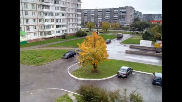 Осень.Клён.Череповец