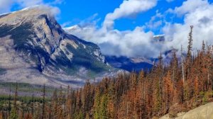 3 вещи портят твою жизнь! Избавься от них! Мотивация