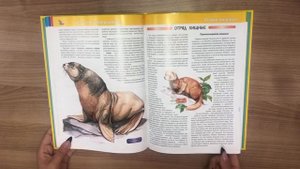 Животные. Большая детская энциклопедия