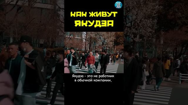 Как живут якудза и на чем ездят? #погнали #shorts #якудза