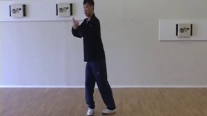 Yang Family Tai Chi embrace tiger