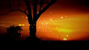 История объектно-ориентированного подхода в разработке ПО. От Simula до SmallTalk