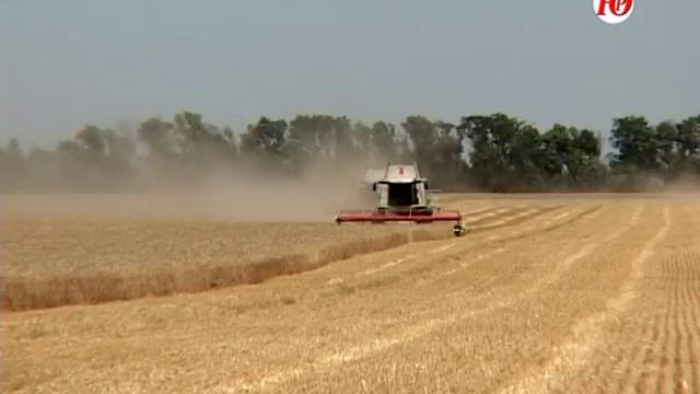 ООО ДВВ АГРО смотреть онлайн